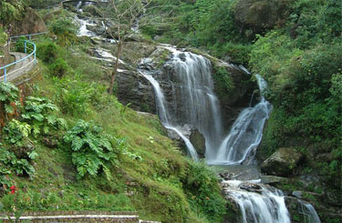 Buxa Tiger Reserve